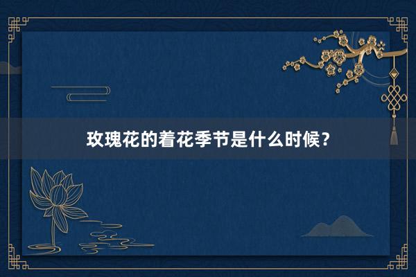 玫瑰花的着花季节是什么时候?