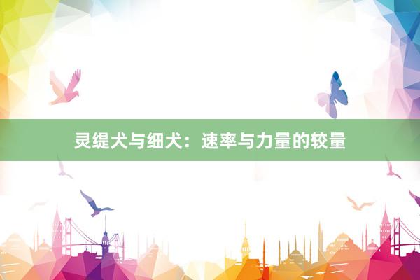 灵缇犬与细犬：速率与力量的较量