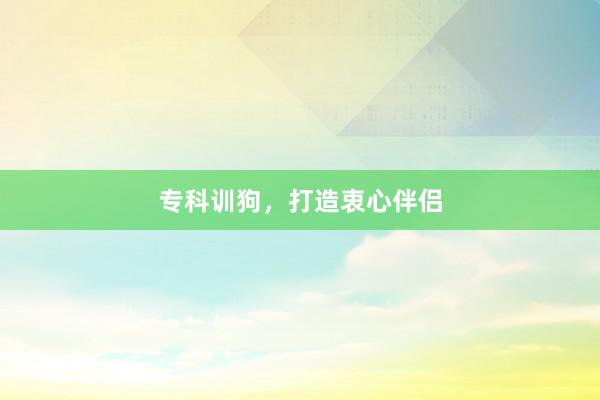 专科训狗,打造衷心伴侣